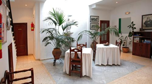 Salteras Hotel | HN Salteras