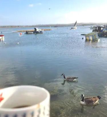 Poole House | Holes Bay Nature Reserve, Poole, right next to the Water