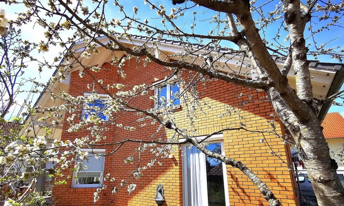 Eigeltingen Apartment | holiday apartment/apt. for 4 guests with 78m² in Eigeltingen (152972)