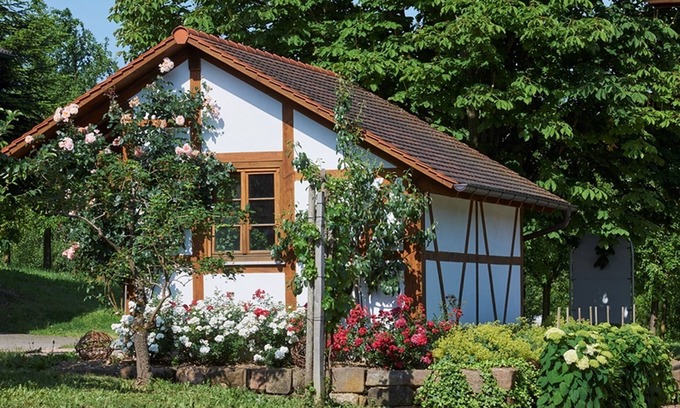 Durbach Apartment | Holiday Apartment "Winzerhof Wörner" with Mountain View, Shared Garden & Wi-Fi