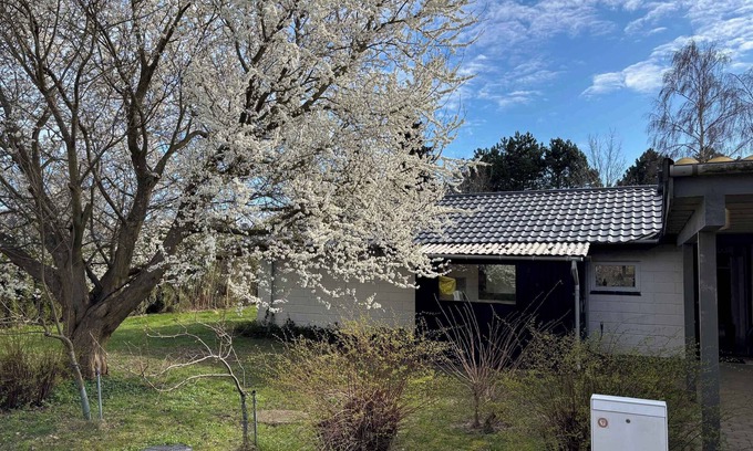 Stege House | Holiday home near water, forest, and Møn's Cliffs