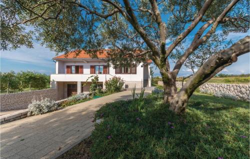 Privlaka House | Holiday Home Privlaka 03