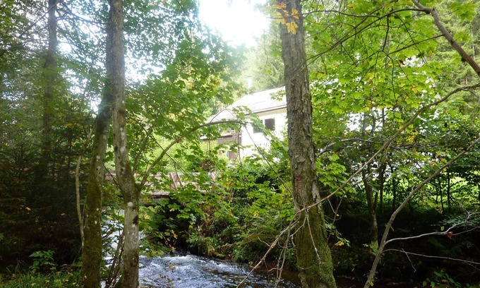 Kniebis Apartment | Home away from home - with a creek in the forest but near to the city