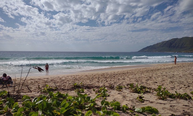 Punaluu House | Home away from home across the street of a beautiful Hawaii Beach!