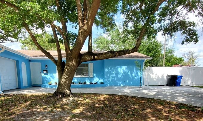 University House | Home next to USF, VA Hospital, Busch Gardens, Moffitt, Advent Health & more.