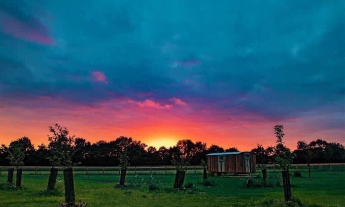 Bedfield Cabin | Honeysuckle Farm Hut 6 - Suffolk Farm Holidays
