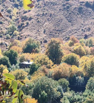 Vayots Dzor Province Apartment | Hors's Home