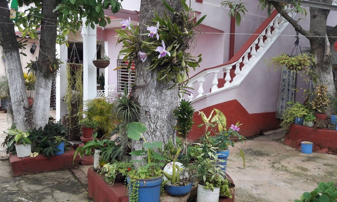 Remedios House | Hostal la Campiña