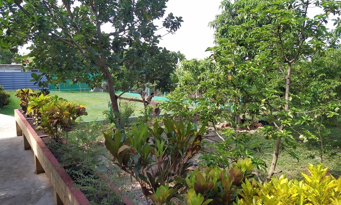Trinidad House | Hostal Yanelis & Harol