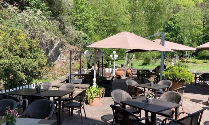 Bad Bertrich Hotel | Hotel Alte Mühle