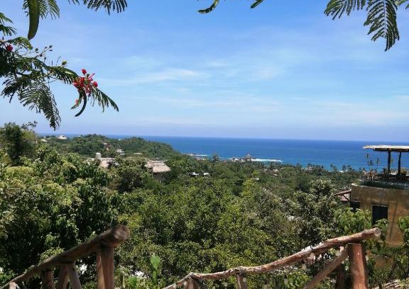 Mazunte Hotel | HOTEL AVE FENIX