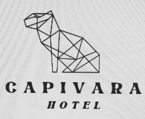 Mucuge Apartment | Hotel Capivara