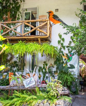 Santa Maria Huatulco Hotel | Hotel Casa Lasibe Café