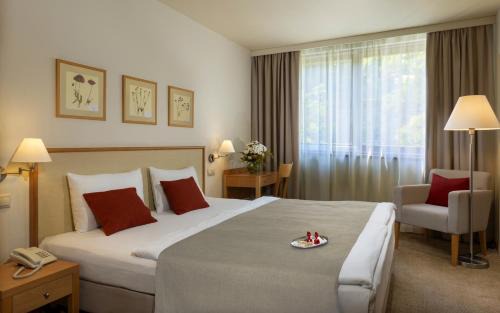 Castle Hill Hotel | Hotel Castle Garden