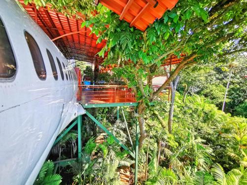 Manuel Antonio Hotel | Hotel Costa Verde