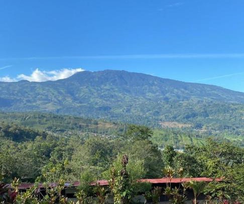 Turrialba Hotel | Hotel Green Mountain turrialba