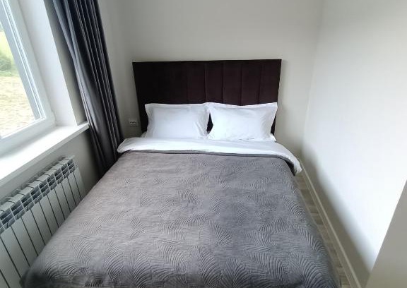 Almaty Province Hotel | Hotel Kolsay Eki Agayindy