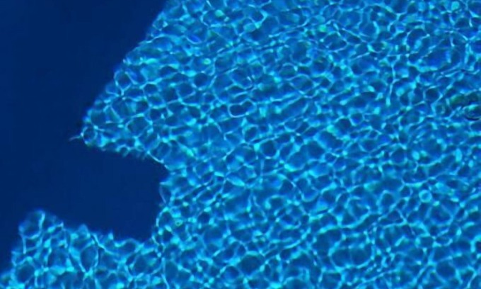 Thasos Town Hotel | Hotel Macedon