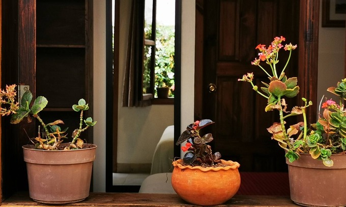 De Guadalupe Bed & Breakfast | Hotel Ocho Barrios