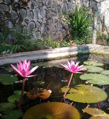 Unawatuna Hotel | Hotel Paradiso,