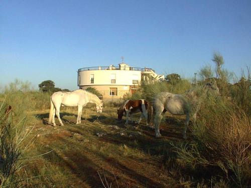 Rus Hotel | Hotel Paraje La Lambra