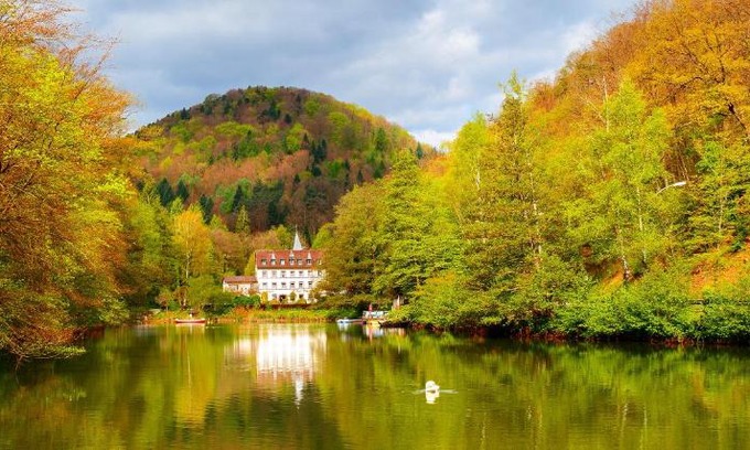 Bad Bergzabern Hotel | Hotel Pfälzer Wald
