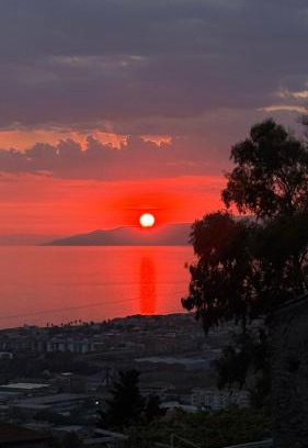 Praia a Mare Bed & Breakfast | Hotel Pian delle Vigne