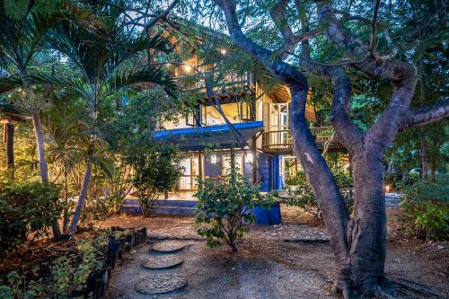 Bocachica Bed & Breakfast | Hotel Playa Manglares Isla Baru
