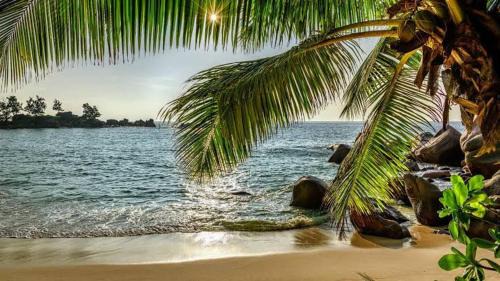 Saunta Vaddo Hotel | Hotel The Baga Central