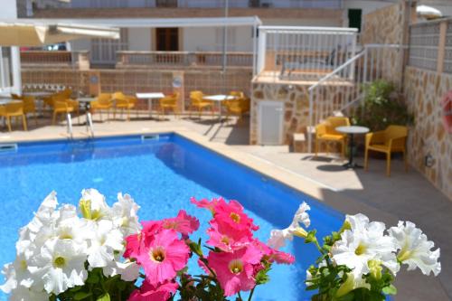 Es Pelats Hotel | Hotel Vista Sol Cala Rajada
