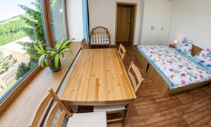 Vrchlabi House | House 6 bedrooms, 22 pers., Garden with outdoor pool and children's playground