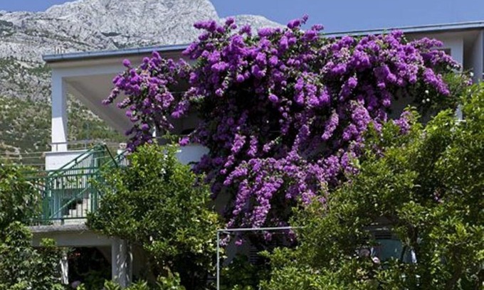 Baska Voda Apartment | House Marta