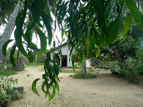 Yodakandiya House | House of Freedom
