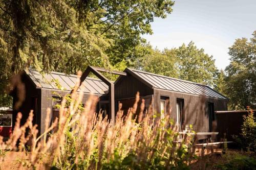 Municipality of Epe House | Hytte I Tiny house met zonnige bostuin