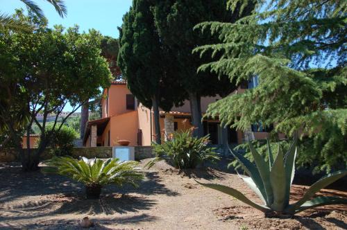 Capoliveri Apartment | I Fiori di Salici