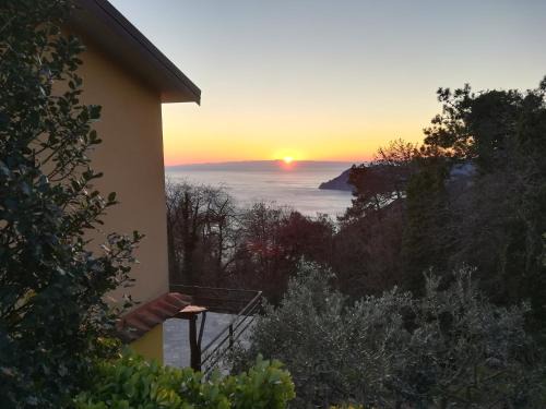 Vernazza House | I TRE GRAPPOLI