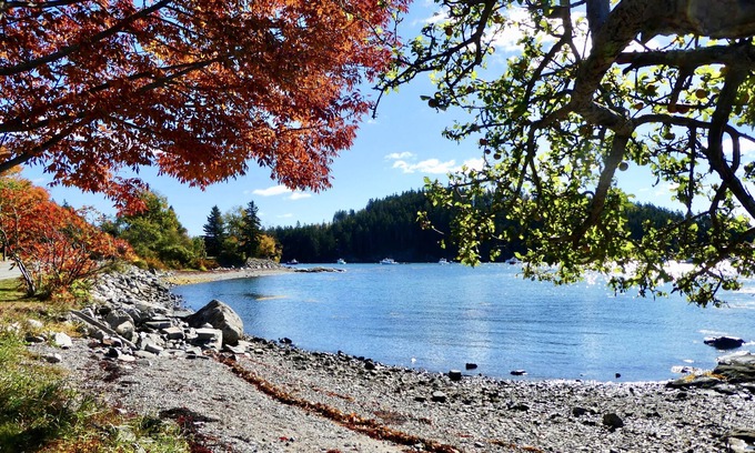 Bernard Apartment | Idyllic One Bedroom Suite with Delightful Ocean and Island Views near Acadia