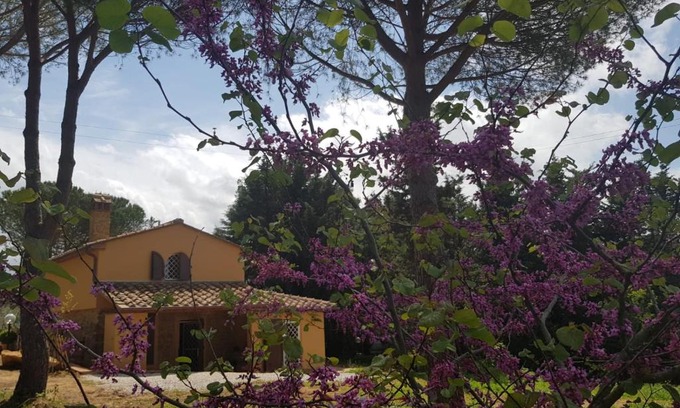 Guardistallo Villa | Il Montedoro