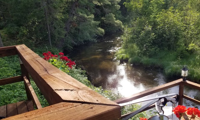 Atlanta Cabin | In the heart of Michigan's Elk Country...on the bank of Crooked Creek & 20 acres
