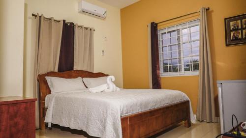 Kingston Bed & Breakfast | Incognito Culture Rooms