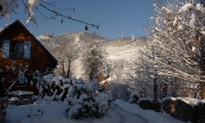 Ribeauville House | Independent lodging in a huge private park in Ribeauville