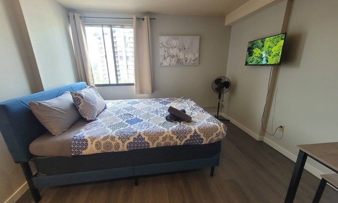 Eau Claire Apartment | Inner City Haven: Urban Serenity
