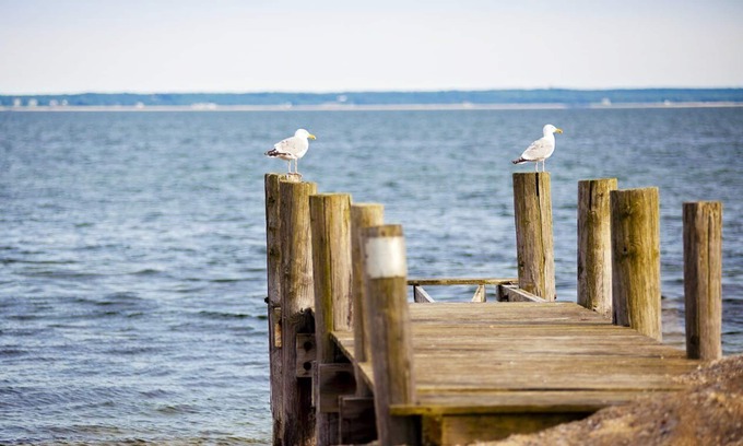 East Falmouth Resort | InnSeason Resorts Surfside - Amazing Waterfront Views & Private Beach Access!