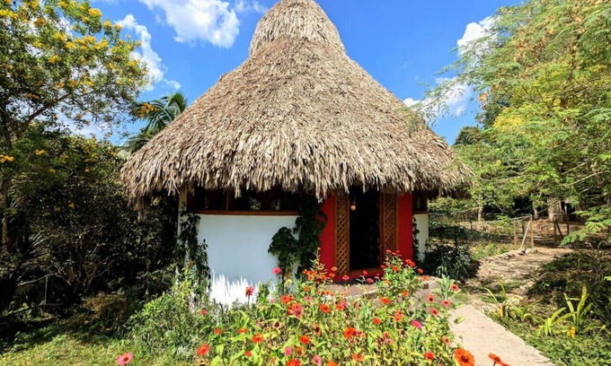 San Ignacio Cabin | Ix-Chel Palapa - Unique bungalow