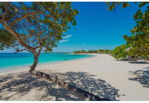 Discovery Bay House | Jamaica Coastal Getaway