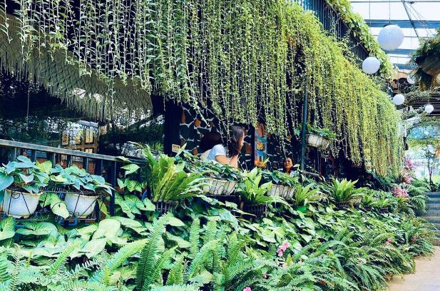 Pleiku Hotel | Jaraihomestay