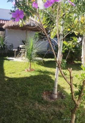 Piumhi House | Jardim Secreto