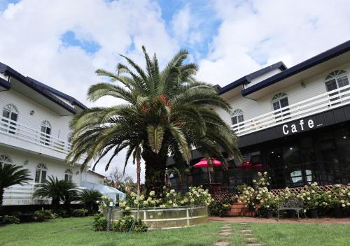 Hallim Resort | Jeju Resortel