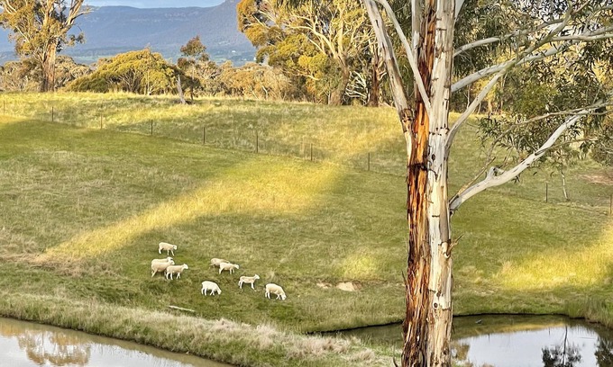 Good Forest Other | Jenolan Luxury Farm Stay in Blue Mountains