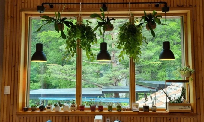 Jeongseon House | Jeongseon Solmi Pension